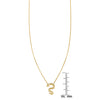 14k gold snake necklace with sleek serpent design on a fine chain, minimalist luxury jewelry by Phoenix Roze