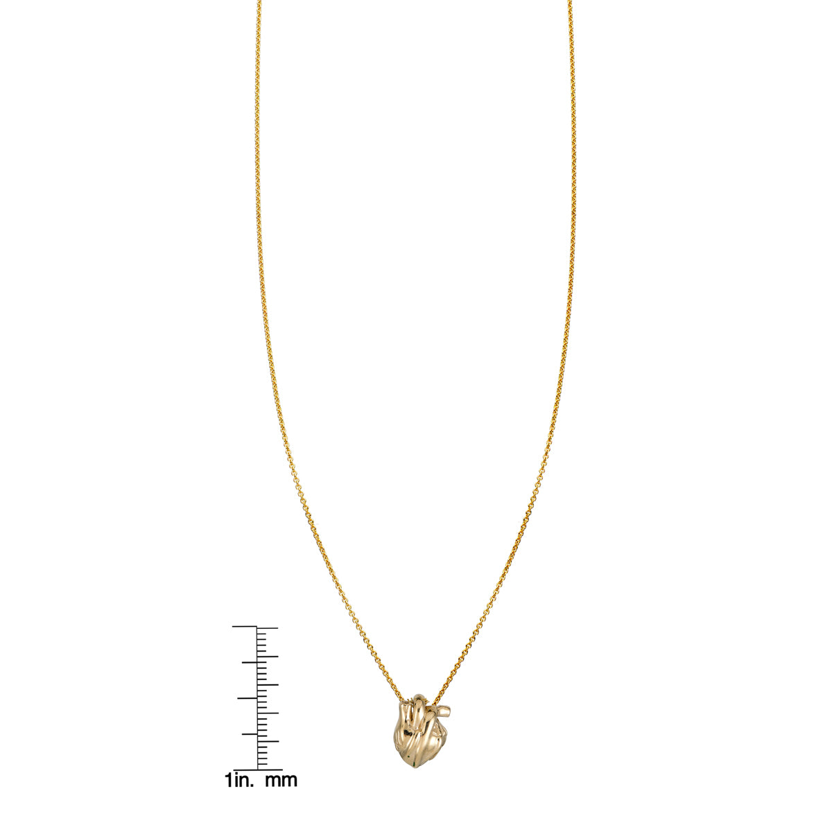 Anatomical heart necklace pendant with realistic heart charm on a delicate chain by Phoenix Roze fine jewelry