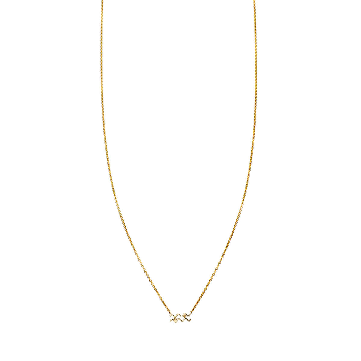 aquarius gold zodiac necklace PRN 440 14K