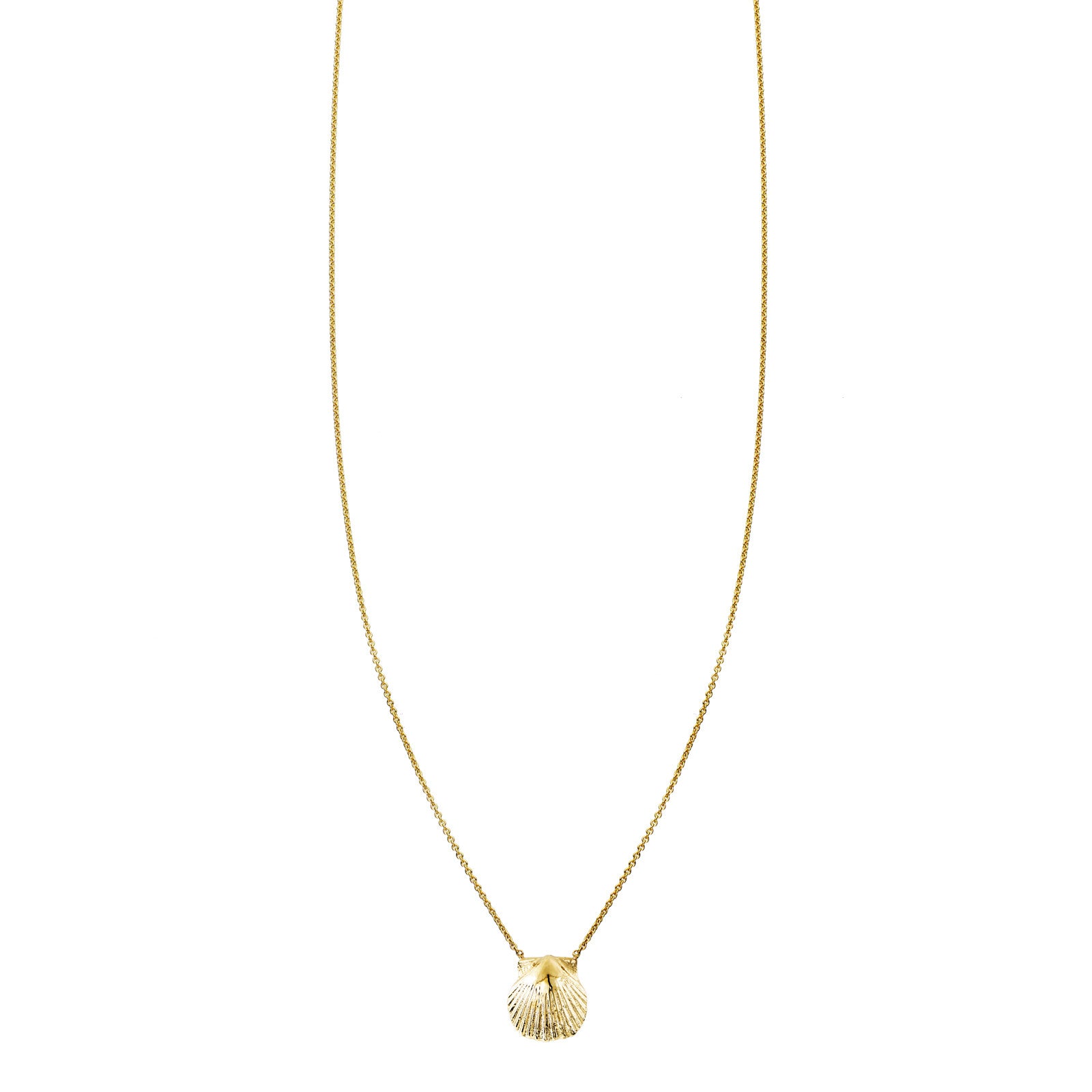 Delicate 14k gold seashell charm necklace, beach-inspired petite pendant for everyday wear