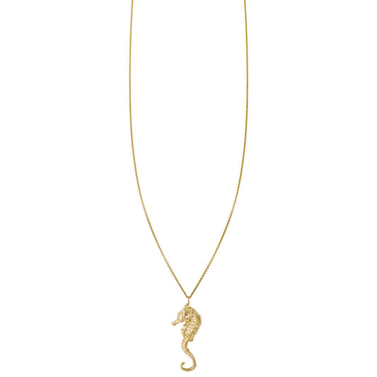 Seahorse Charm Necklace in Solid 14k Gold, lifelike and handcrafted in NYC on a fine chain.