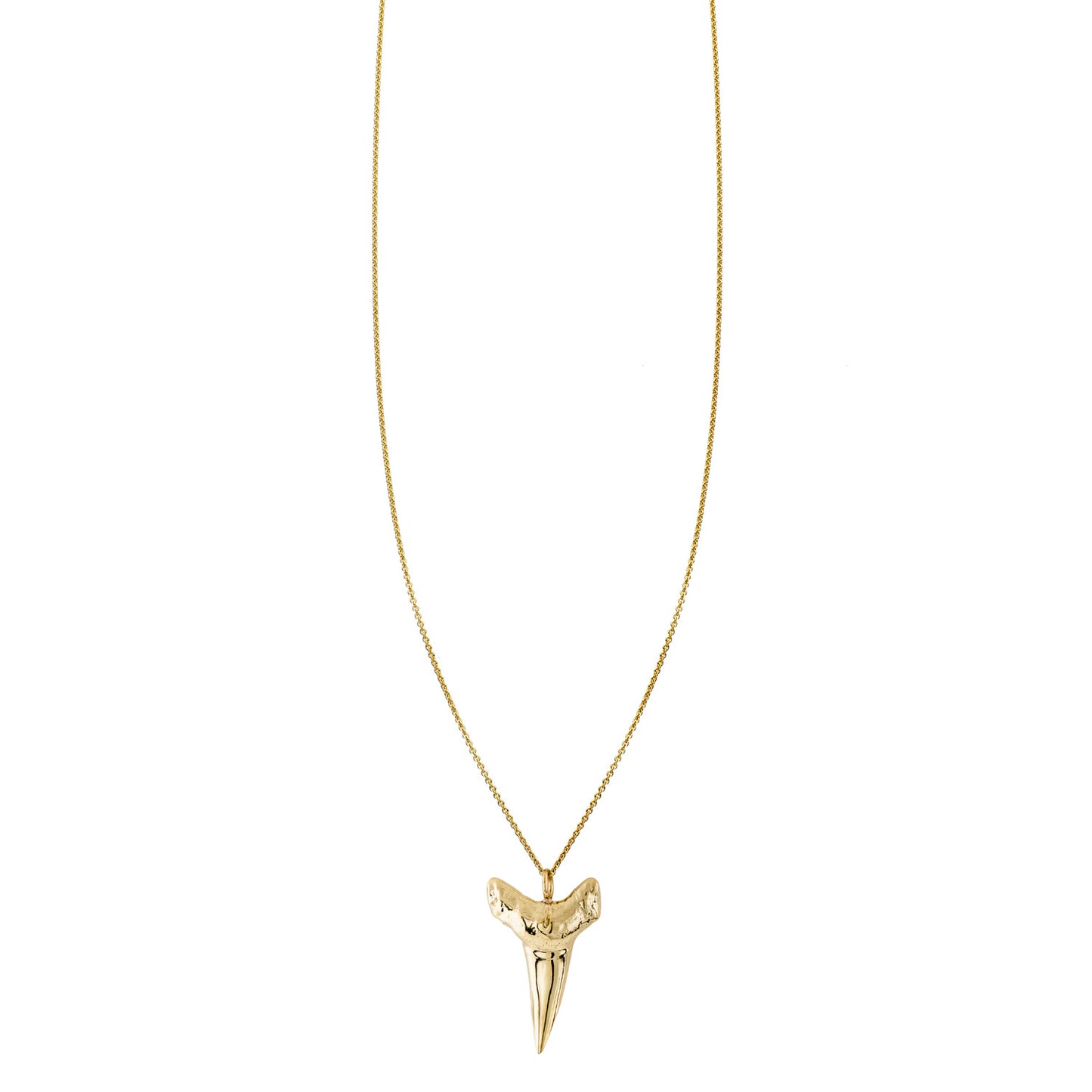 Solid 14k gold shark tooth charm necklace, Hawaiian protection symbol; empowering, natural, wearable day or night