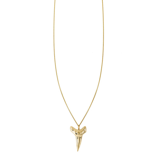 Solid 14k gold shark tooth charm necklace, Hawaiian protection symbol; empowering, natural, wearable day or night