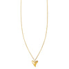 gold shark tooth necklace