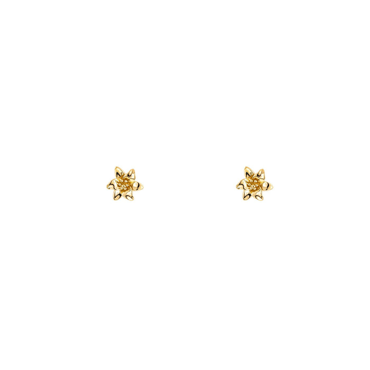 Venus flower pentagram stud earring in 14k yellow gold, inspired by the celestial dance of Venus and Earth