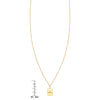 My World gold tag pendant shown next to a ruler for size reference