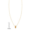 14k gold pineapple necklace (PRN373-PI) with ruler, tropical-themed jewelry.