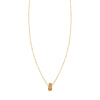14k gold pineapple necklace (PRN373-PI), tropical-themed jewelry.