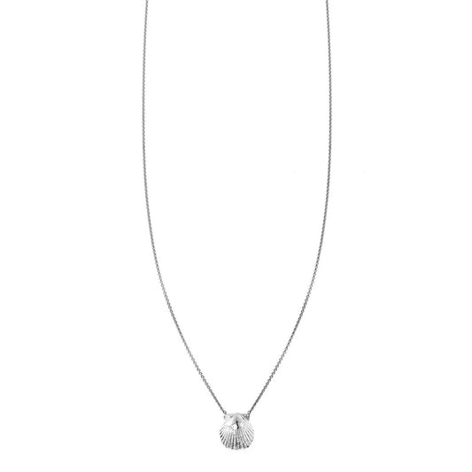 Sterling Silver Seashell Necklace