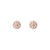 diamond snowflake flower earrings PRE 407 14KY_ac1cefe8 7f24 4570 b973 4cdac00a642d