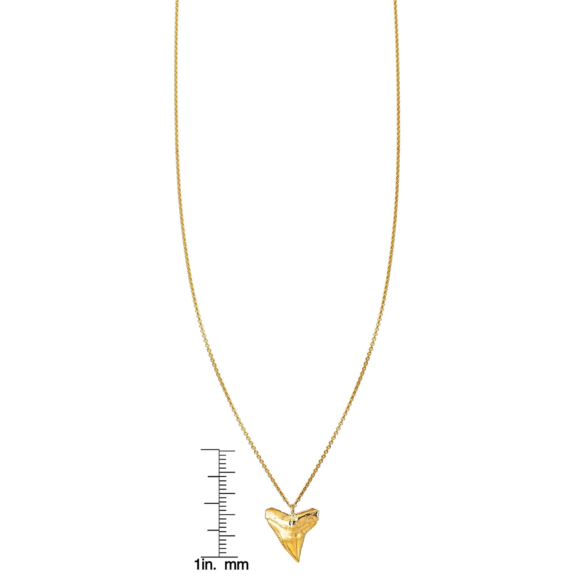 gold shark tooth necklace with ruler