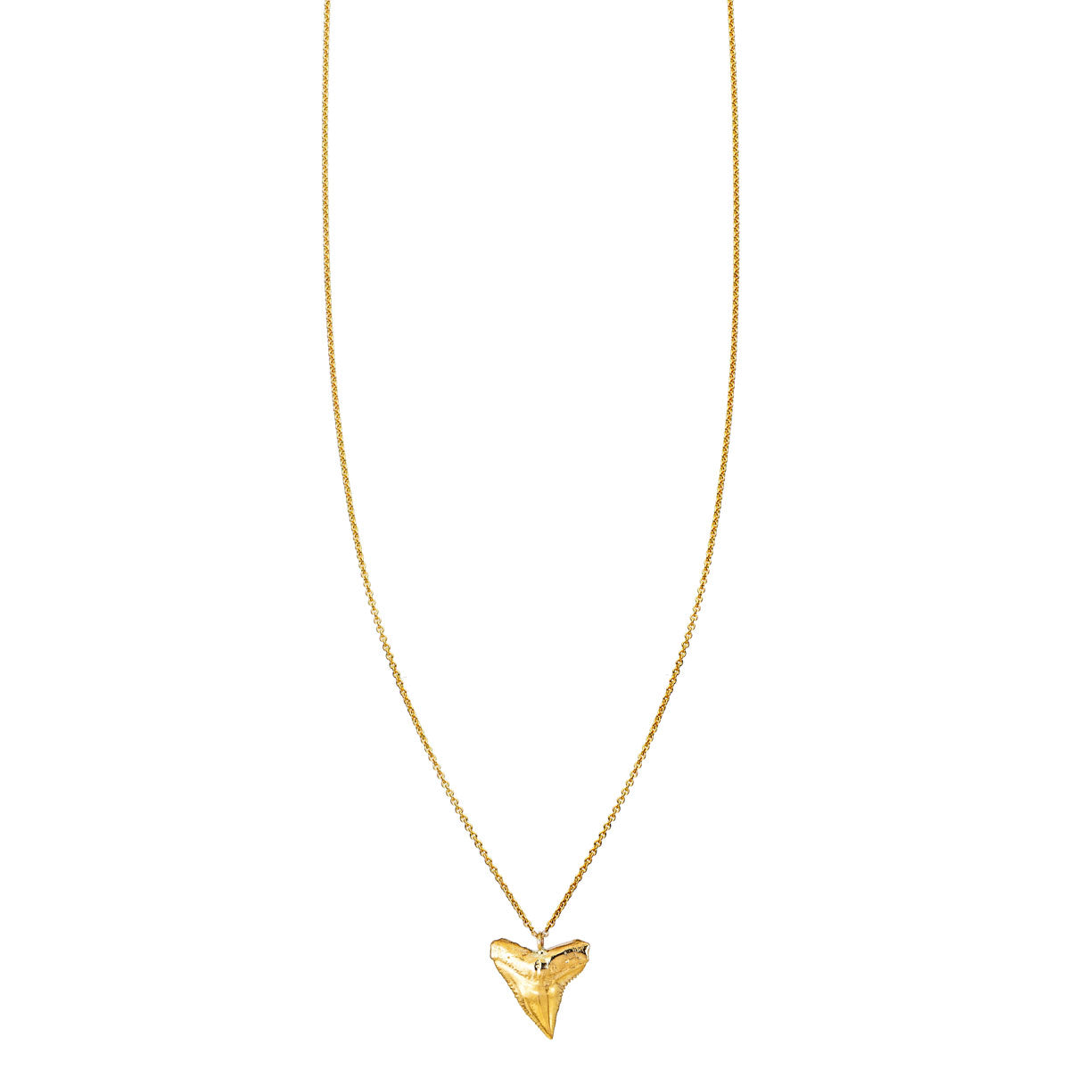 gold shark tooth necklace