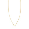 Sagittarius zodiac sign gold necklace - personalized astrological pendant