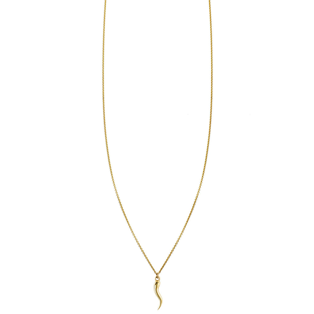 Small gold Italian horn necklace - delicate protective charm jewelry